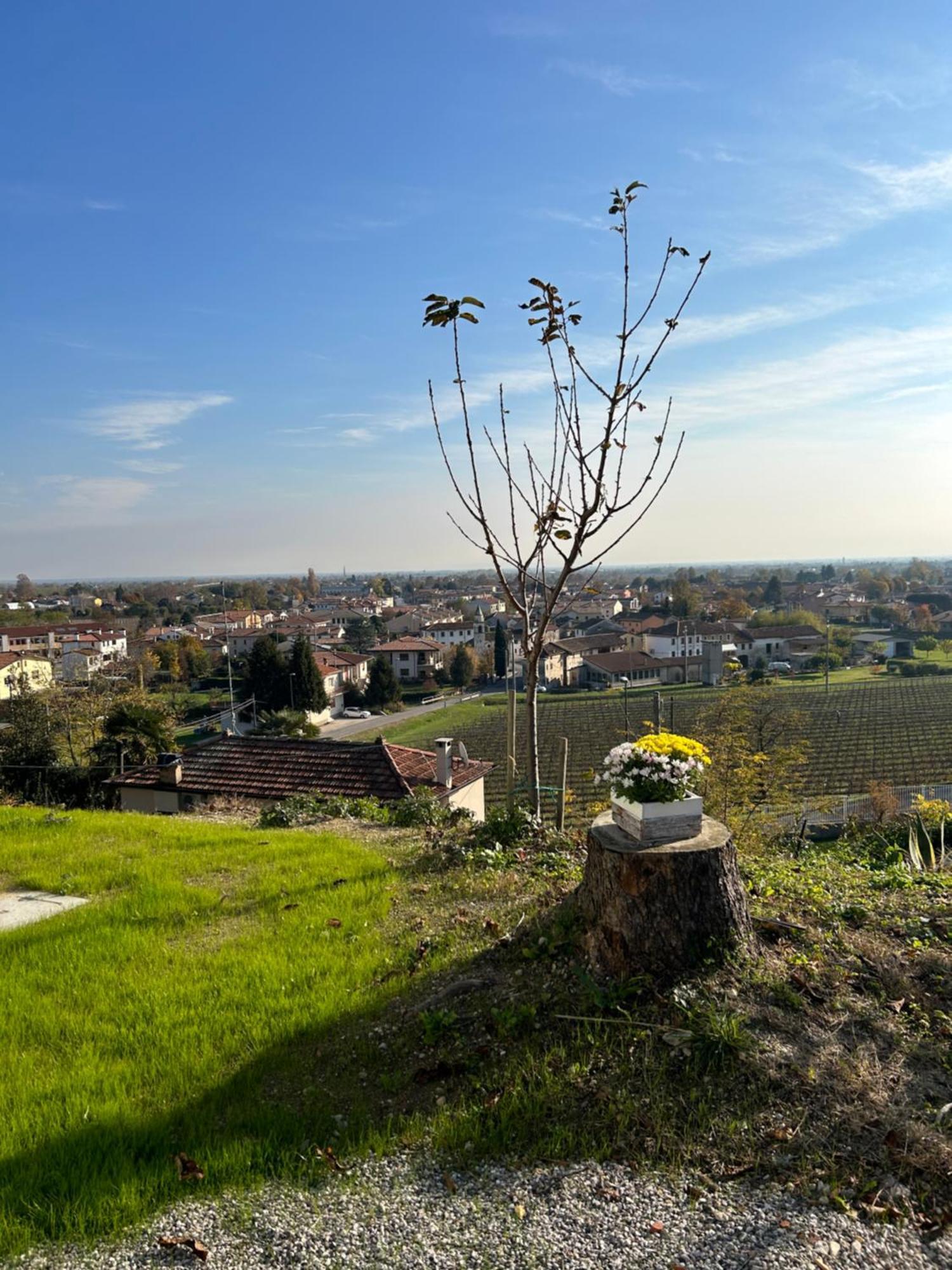 B&B San Martino San Martino  エクステリア 写真